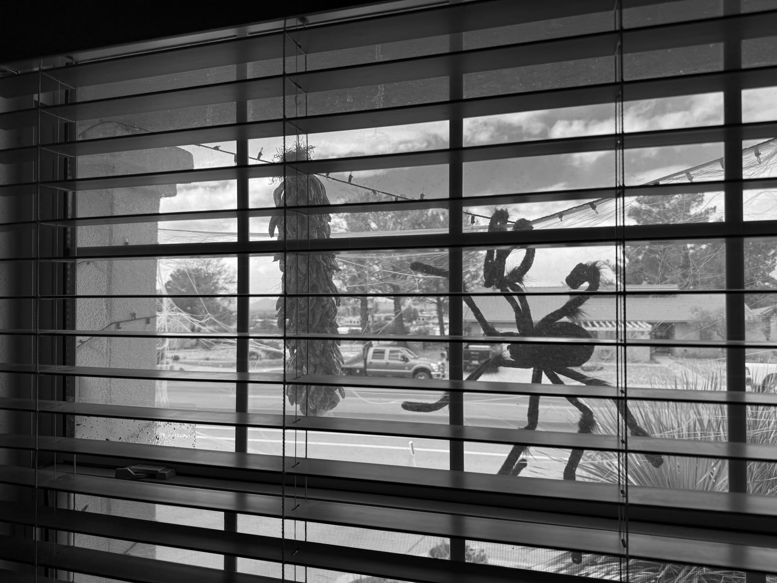 Looking Northwest, an image of a chile ristra with spider webs and a spider.