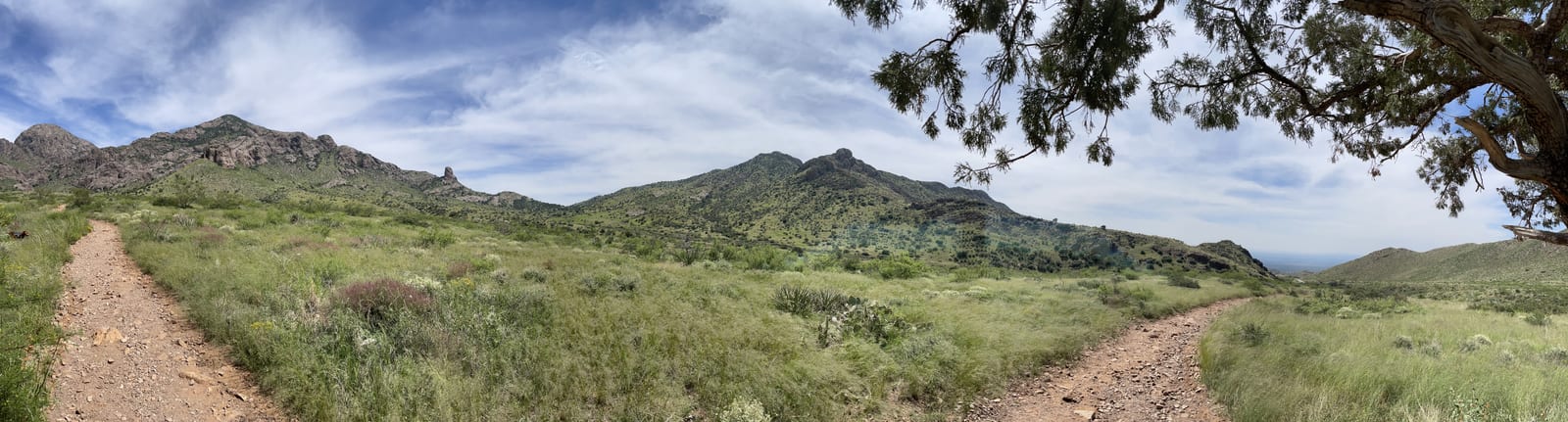 On the trail to Dripping Springs in the Organ Mountains.